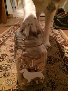 *grasps treat jar with mighty claws* 